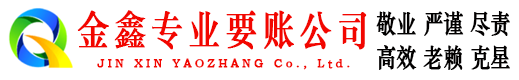 临高金鑫要账公司
